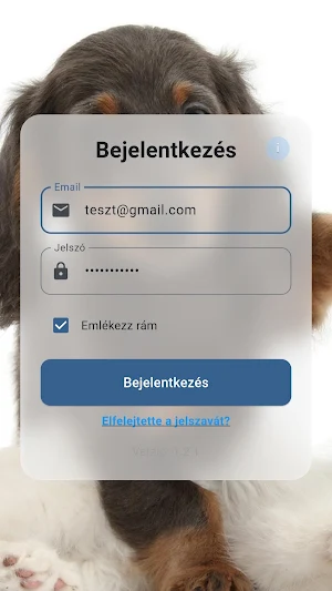 PETCITY Screenshot 0