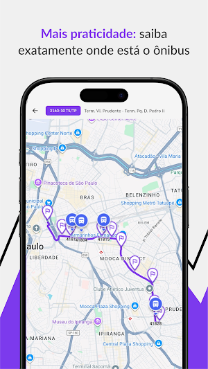 VouJá Empresa Screenshot 3