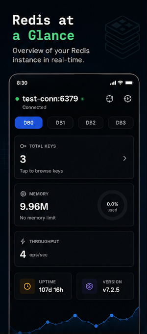 Redis Explorer Screenshot 0