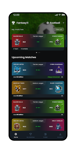 Fantasy11 : Flutter Template Screenshot 3