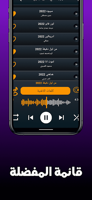 100 اغاني مصرية بدون نت +كلمات Screenshot 3
