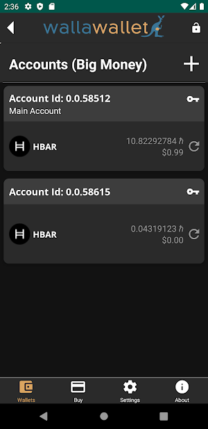 Wallawallet Screenshot 3