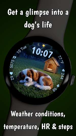 A Dog's Life - Animated WF Screenshot 1