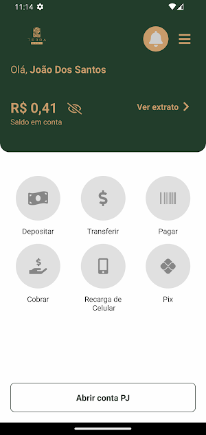 Terra Bank Screenshot 2