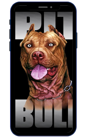 American Pitbull Screenshot 2