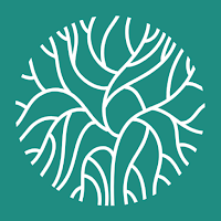 Root Reset Functional Health