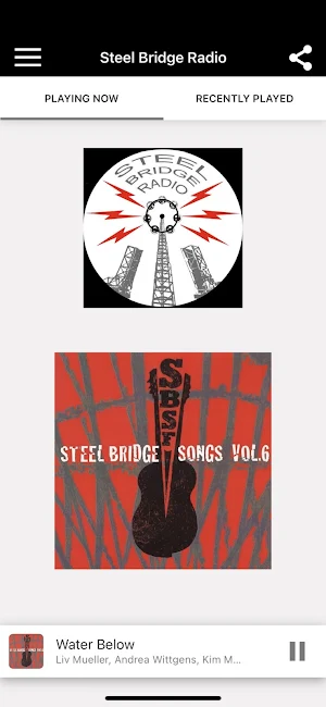 Steel Bridge Radio Screenshot 0