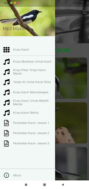 Masteran Kacer Jawara Screenshot 0