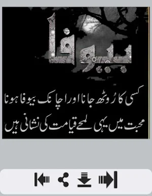 Bewafa Urdu Shayari Screenshot 1