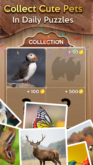 Woody Cross ® Word Connect Game Screenshot 2