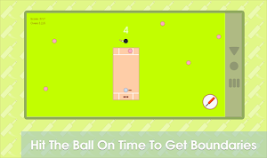 Cricket Minimalist Game Screenshot 2
