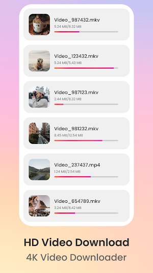 All Video Downloader Screenshot 3