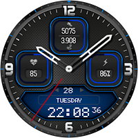 Hybrid Fnx368 Watch Face