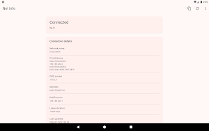 NetInfo Screenshot 2