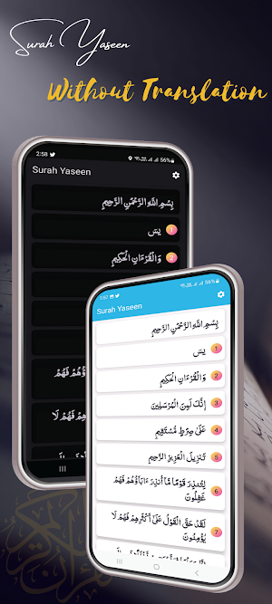 Surah Yaseen in English Trans Screenshot 2