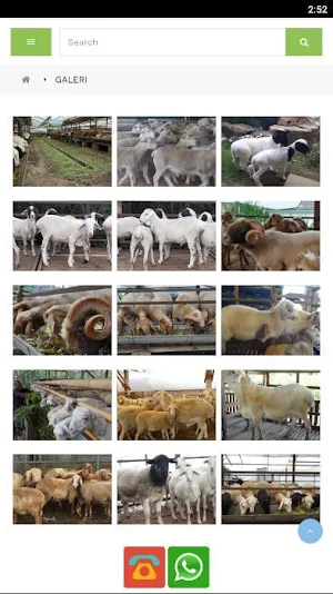 Dorsip Farm Screenshot 3