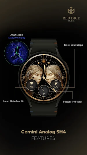 Reddice Gemini Analog SH4 Screenshot 2