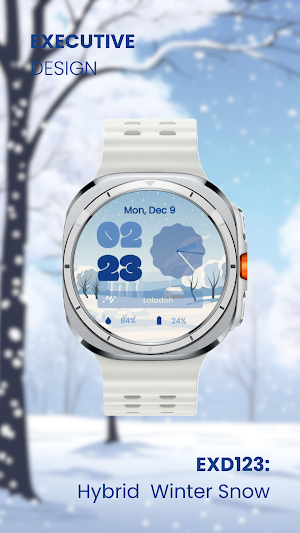 EXD123: Winter Hybrid Face Screenshot 3