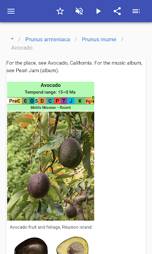 Fruit trees Screenshot 3