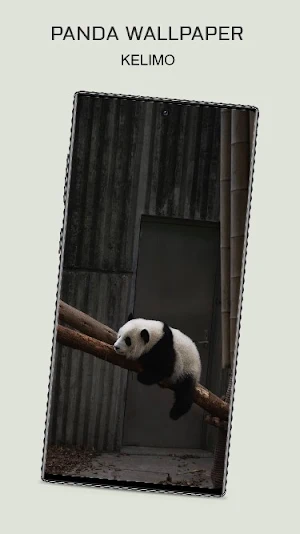 Cute panda Wallpaper Screenshot 0