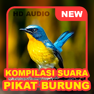 Suara Burung: Pikat & Masteran Screenshot 0
