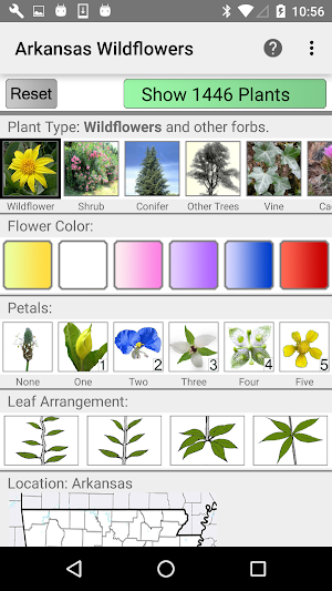 Arkansas Wildflowers Screenshot 0