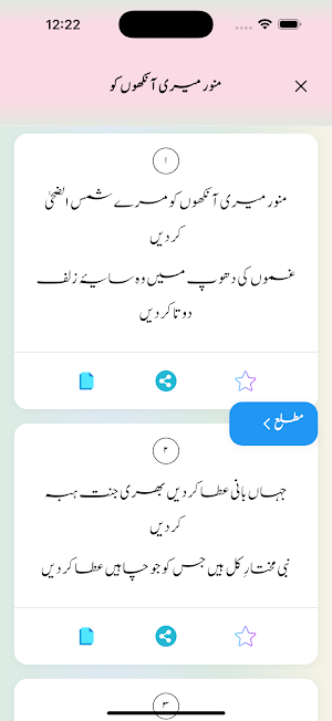 Safeena E Bakhshish Screenshot 2