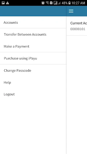iPayAnywhere Screenshot 1