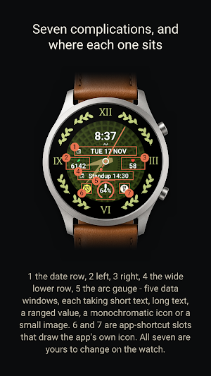 Rotunda Roman Watch Face Screenshot 1