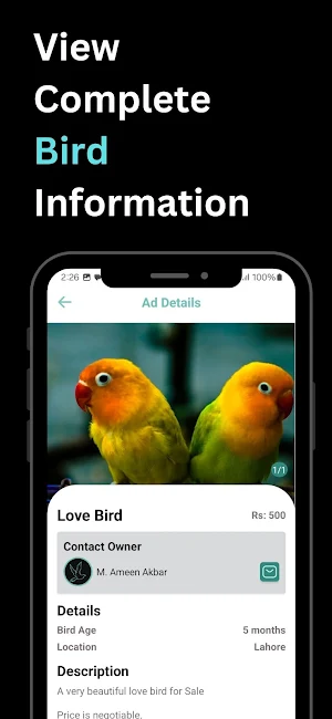 BirdZone - Bird Market & Items Screenshot 2