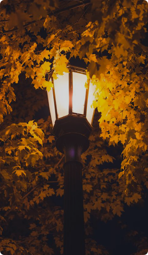 Street Lamp in Fog Wallpaper Screenshot 0