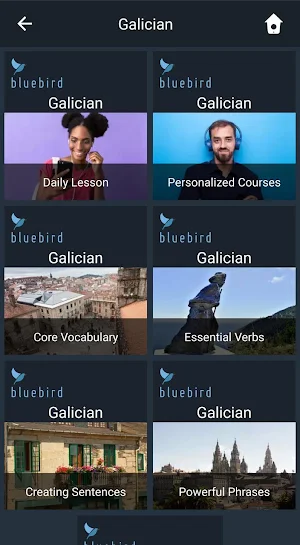 Learn Galician. Speak Galician. Study Galician. Screenshot 0