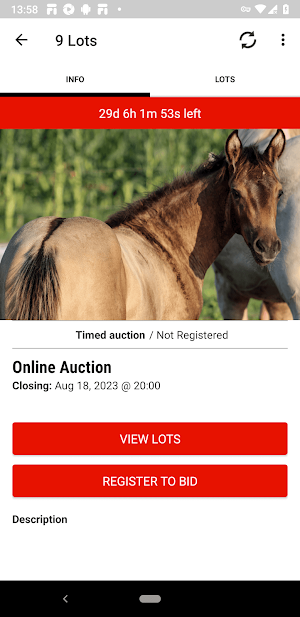 Shining C Grulla Horses Screenshot 1
