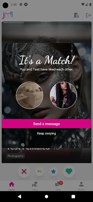 Jodi Screenshot 3