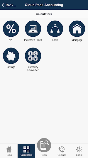 Cloud Peak Accounting Screenshot 2