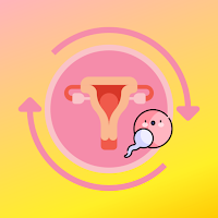Ovulation & Period Tracker: Fertility Calendar