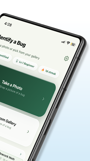 Bug Identifier By Picture Screenshot 1