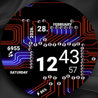 Microchip