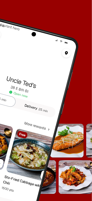 Uncle Ted's Modern Chinese Screenshot 1