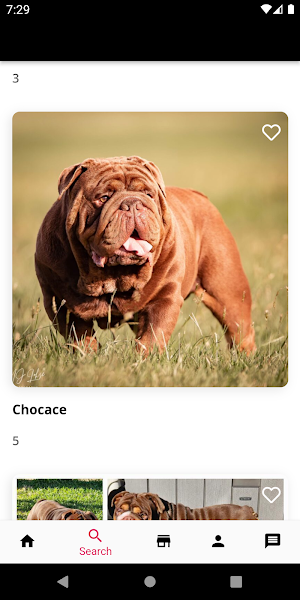 Stud Dog Screenshot 2