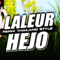 DJ Laleur Hejo