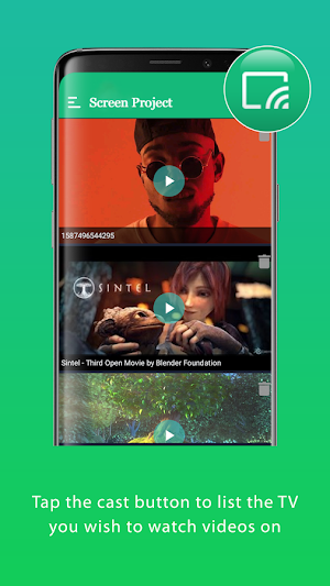Screen Project Screenshot 1