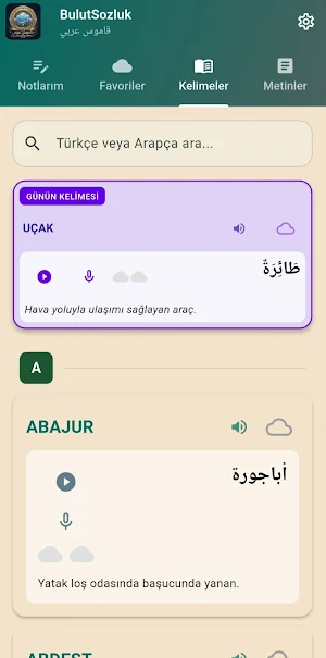 Bulut Sözlük Screenshot 0