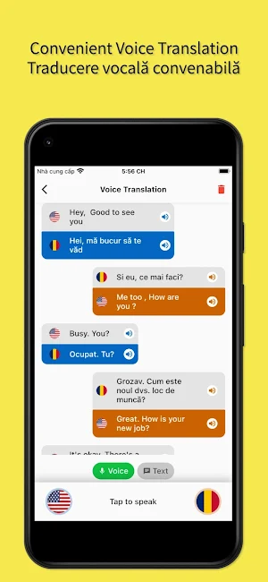 English to Romanian Translator Screenshot 1