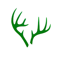 rackline.ai - AI Deer Scoring