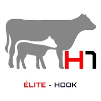 H1-Elite