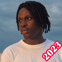 Fireboy DML Songs & Album 2023