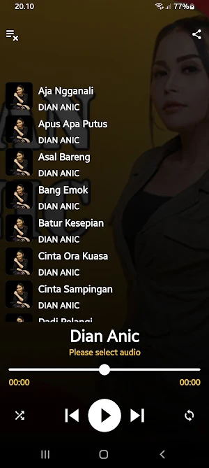 Dian Anic MP3 Offline Screenshot 2