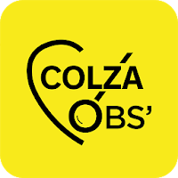 Colza Obs'