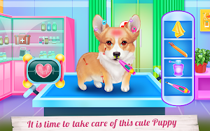 Cute Corgis Caring and Dressup Screenshot 2